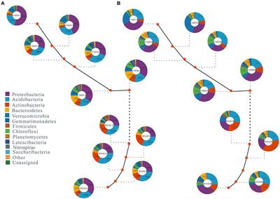 Soil bacterial community changes along elevation gradients in karst graben basin of Yunnan-Kweichow Plateau